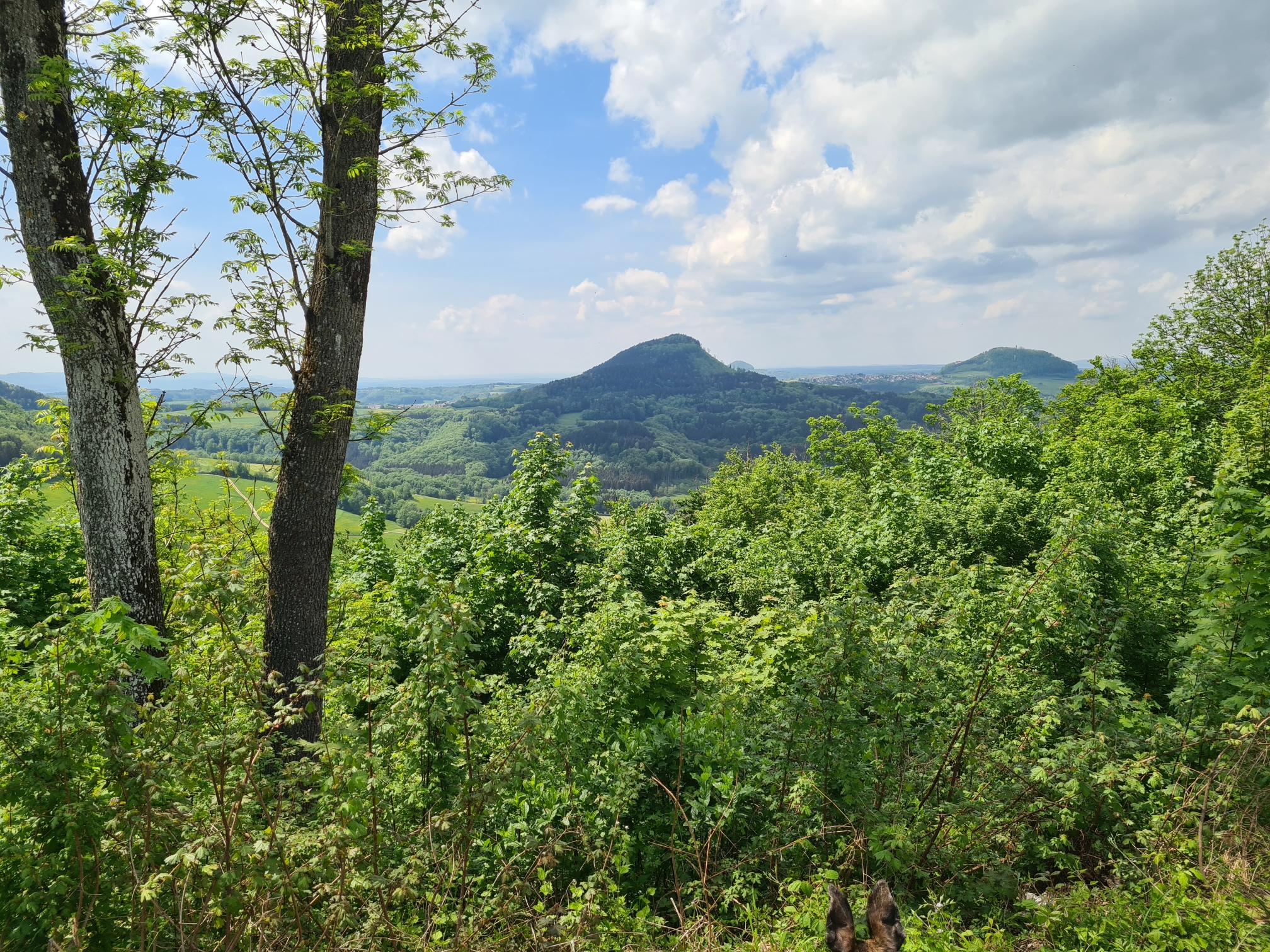 Der Hohenstaufen im Sommer
