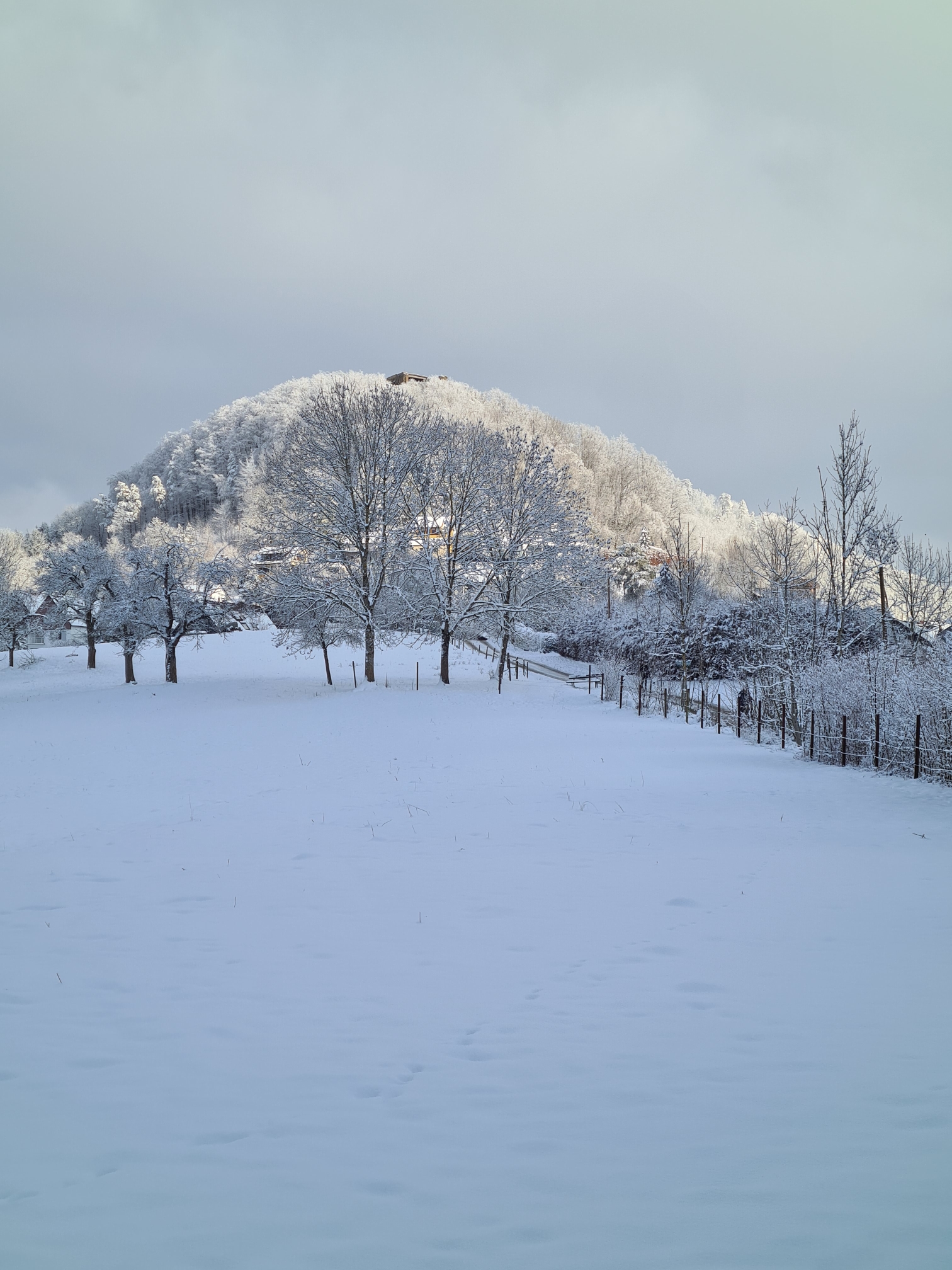 Der Hohenstaufen