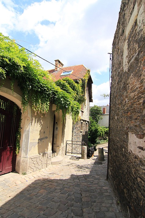 Angers 2011