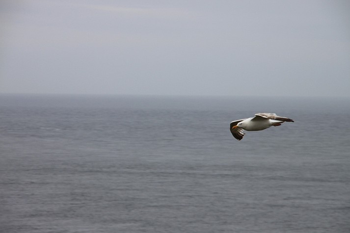 Point du Raz 2077