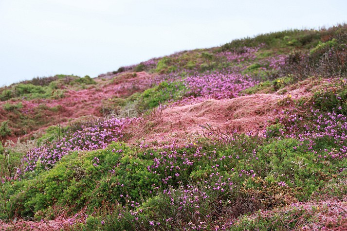 Point-du-Van 2011