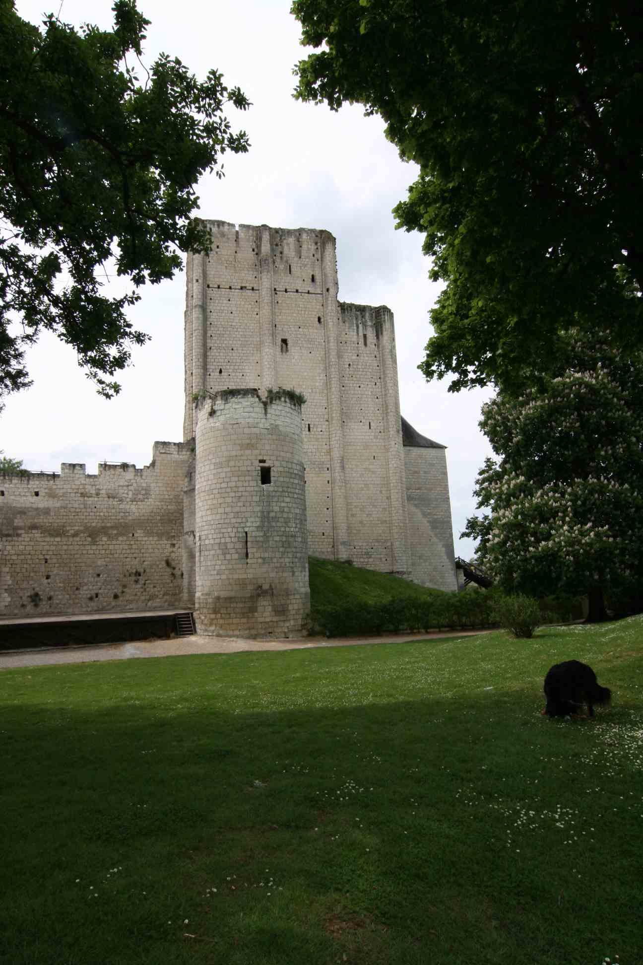 Loire, Loches