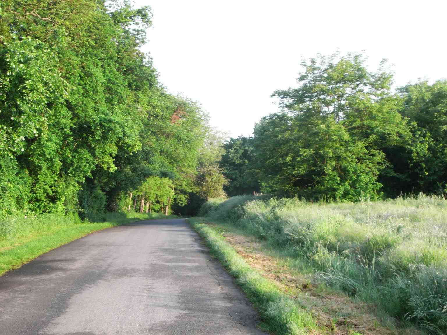 Saint Brisson -  Natur pur